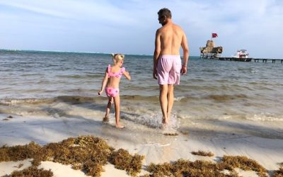 Best Beaches in Belize: What You Should Know about the Seagrass Situation in San Pedro